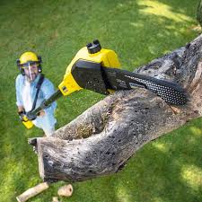 Best Commercial Tree Services  in Marine City, MI